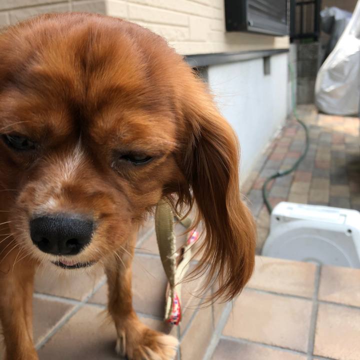 B9a23b78 ba80 4b97 8f77 432068a27390 1534371213100