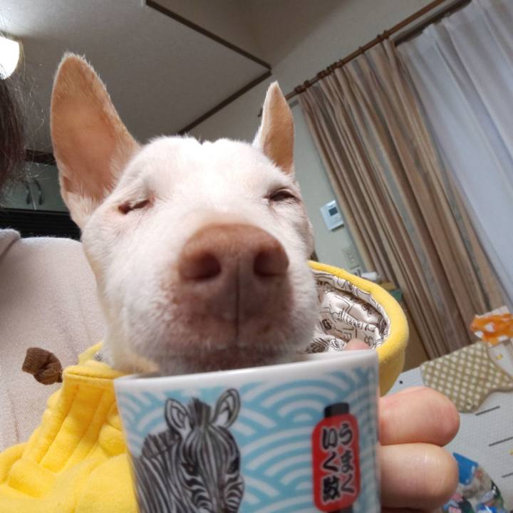 B9a23d08 0673 46e9 bf2b e4c80bd2f71d 1607989472010