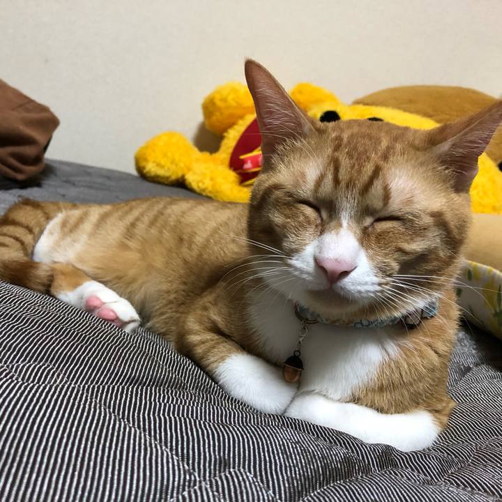 B9a24784 8601 451e abea 228f2178747a 1562416345059