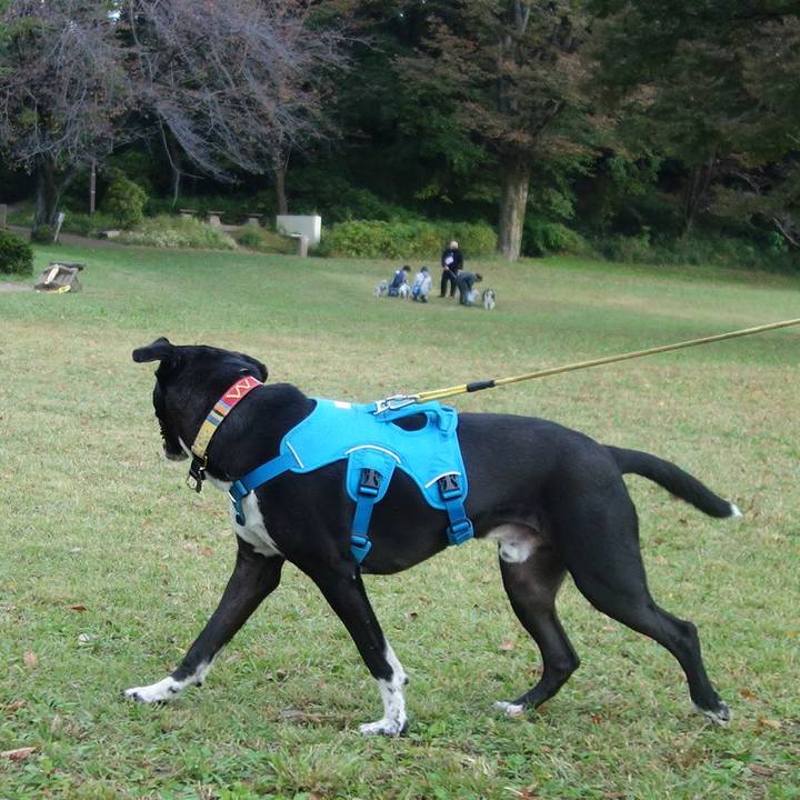 B9a25faf 6d31 4d10 9eb6 deeaa472f38c 1604279204025