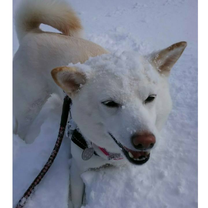 B9a29432 1f11 4c23 a7d1 03e64970fd26 1539079235672