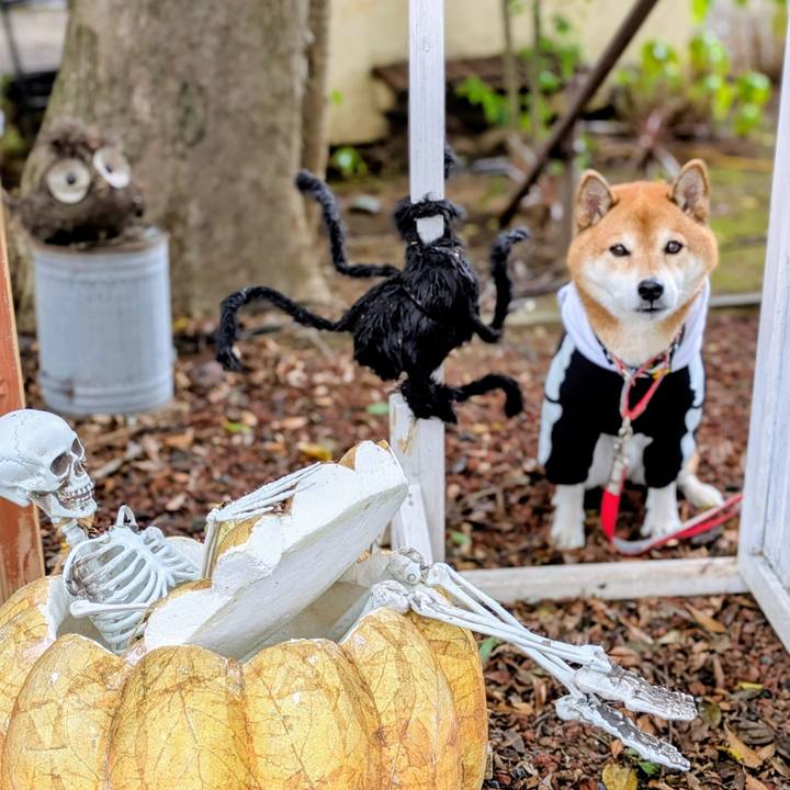 B9a2a7e3 ba42 47ff b06c f0f8a7d56c50 1761396158324