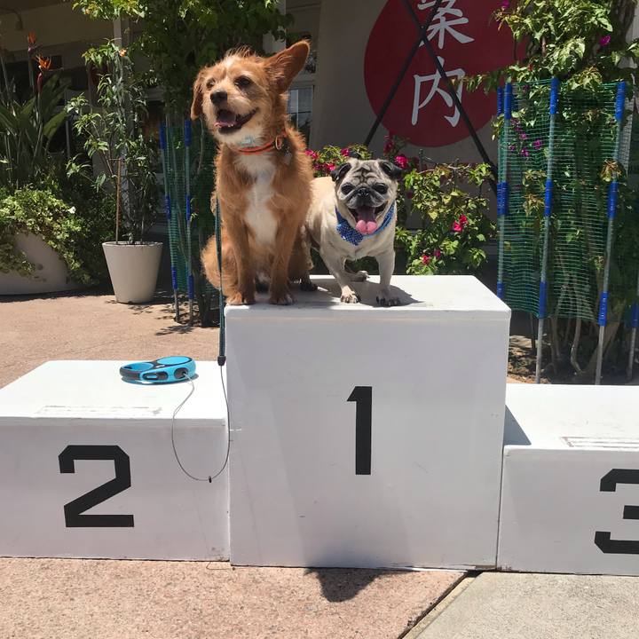 B9a2e17a d15f 4c31 9361 c5fcbc8bcb7d 1591833333345