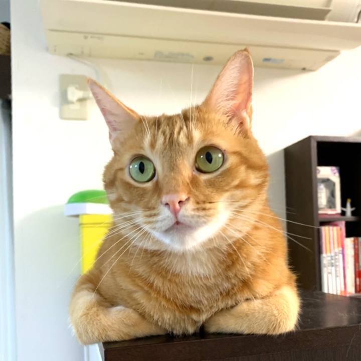 B9a2f98a 1f9d 47b3 a6ac d0fb1ddcd438 1564268711154