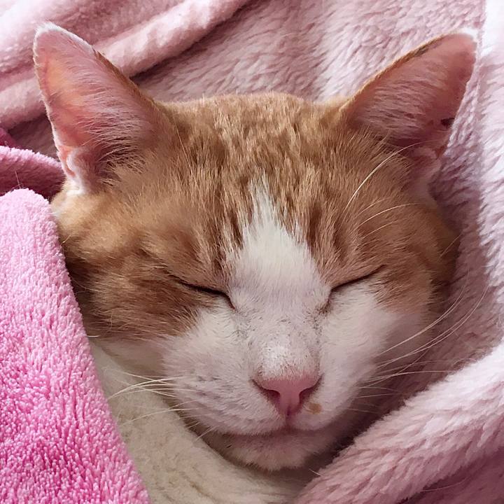 B9a300f7 e35f 4cdd b173 4b509e3a8d9f 1572419506204