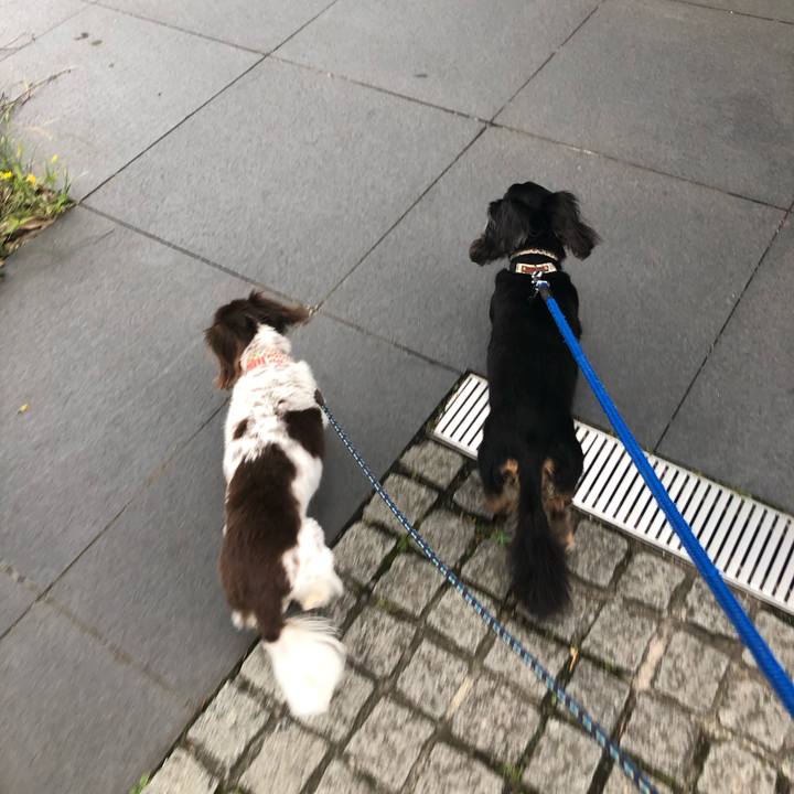 B9a342be 9a2d 402b a4be 832621f177fd 1592697092872