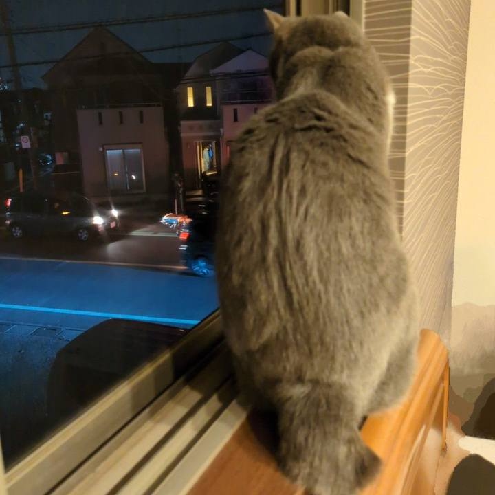 B9a355db 4a45 497d 9e3f 66d50f753bc1 1742643479372