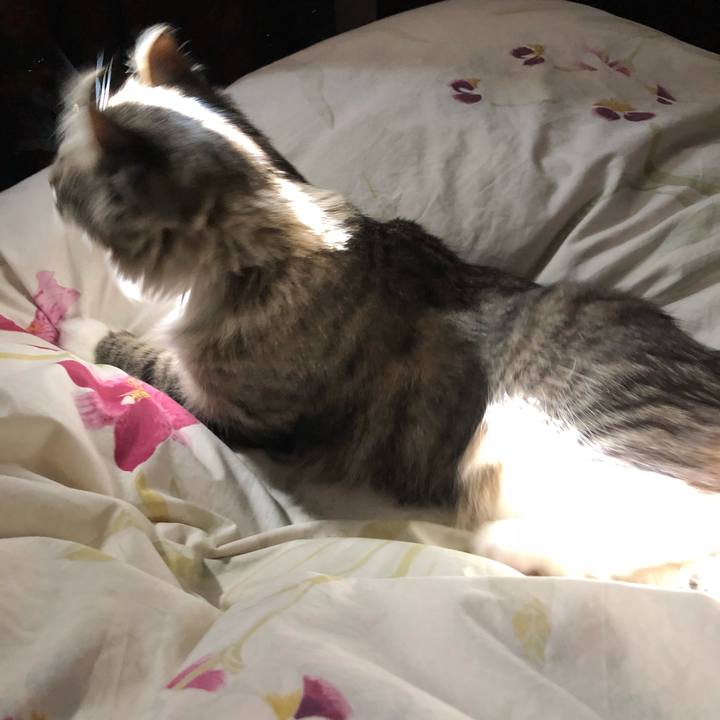 B9a377ac ef16 43ee a4d4 9f9a5be5fcc3 1523855538193