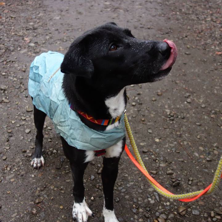 B9a39728 d9ea 4bba a97e 5c4eca5c0279 1583627466258