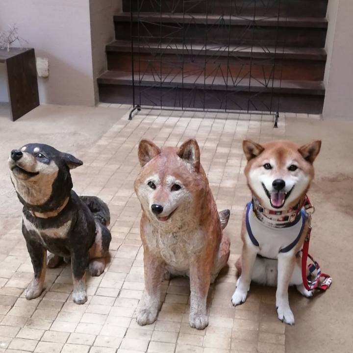 B9a3b680 de26 48a9 adfd 41db07811572 1678417451181