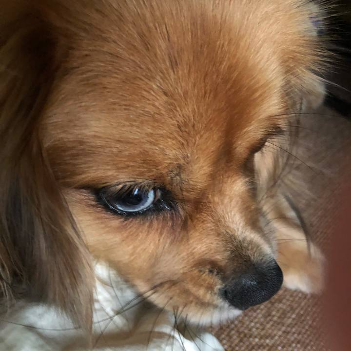 B9a3bb21 3215 4de5 bcfb 3a258b9bf0c4 1568507585469