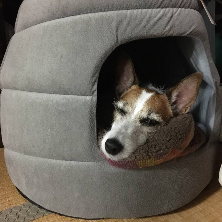 B9a3c5cf 5a68 479b 8b2b 0dfebffc8222 1574306803202