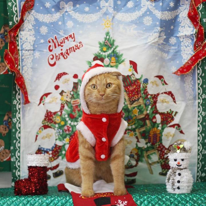 B9a3cb83 c3c8 4c29 9f18 d151fc810f93 1671690709437