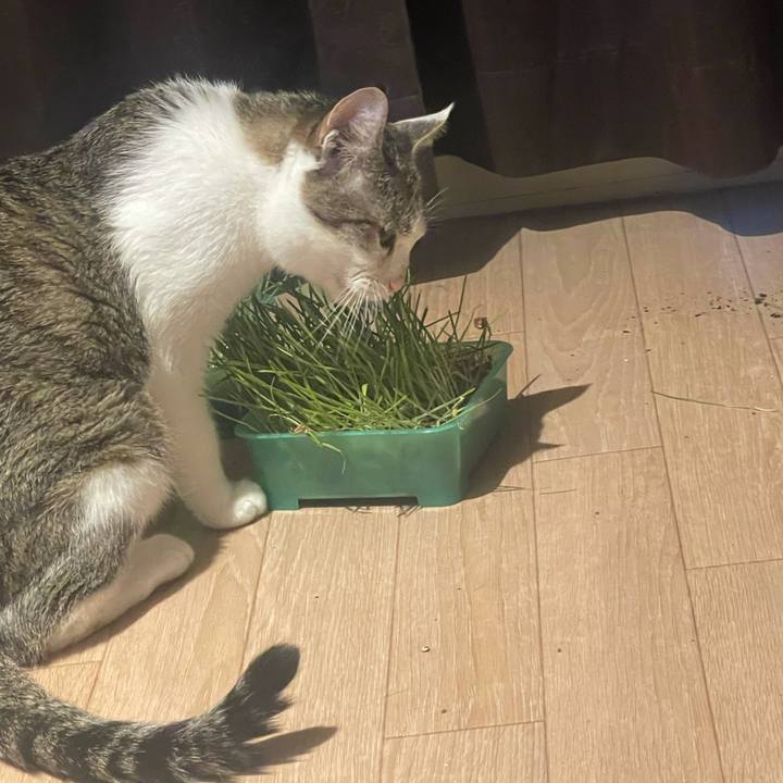 B9a3d06b c293 4c34 99dc f02009f72c08 1630528130976