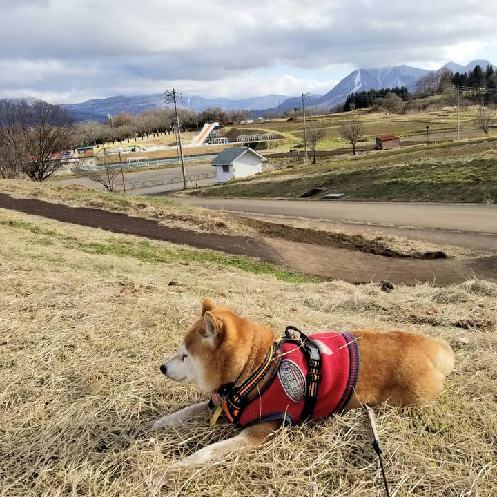 B9a3dcec da8d 4c55 9f23 1014bbf5b5e2 1606972524419