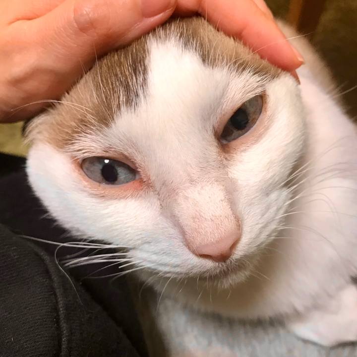 B9a40b87 38ce 4b83 8c65 9c98e8ed6d41 1603597231567