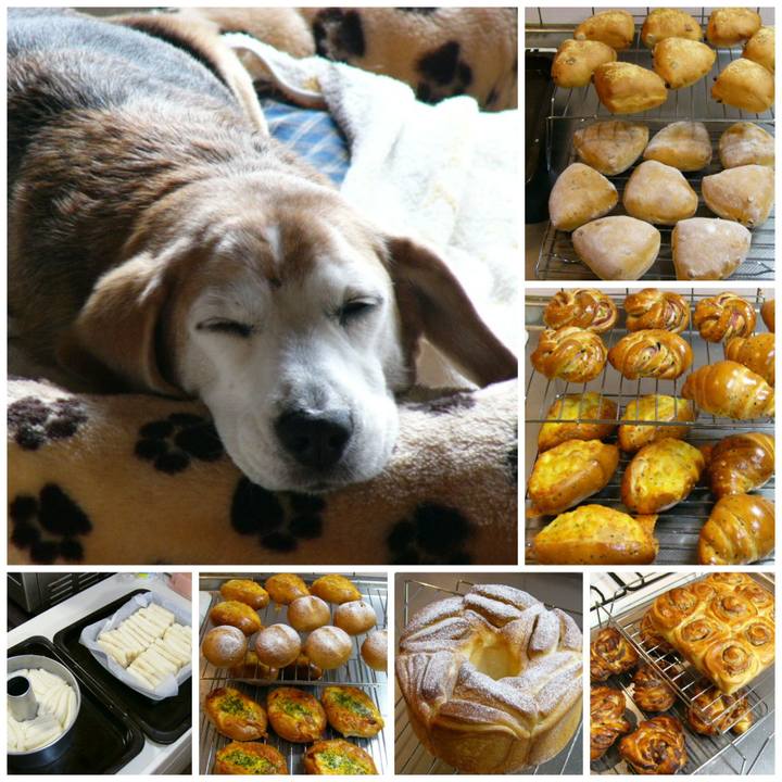 B9a41d26 604c 4cb6 b50f 54c6f8bbc2a0 1660349416152