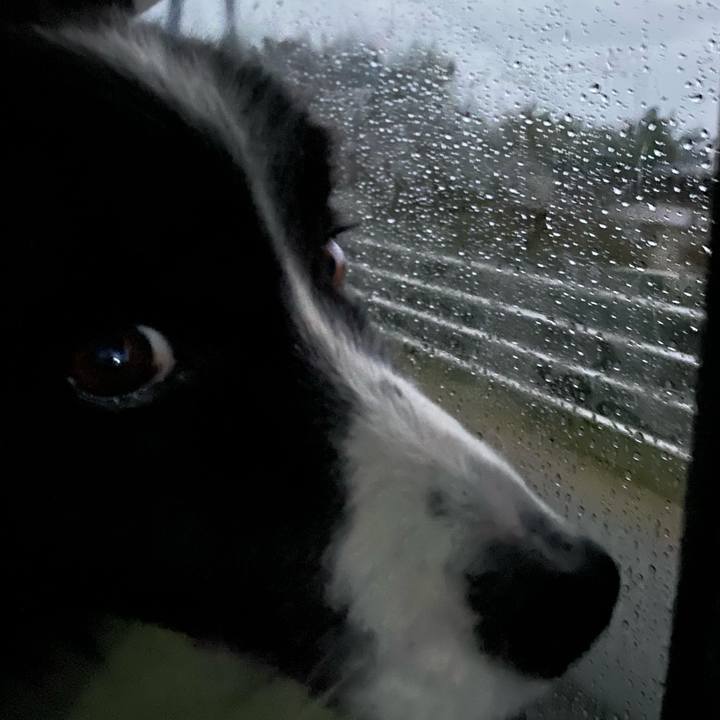 B9a41e35 37bc 47df aa7f 9851d1f338f4 1611612431436