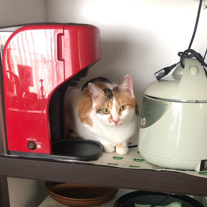 B9a4254b 30ae 40f8 9c08 d907c664b1f4 1592436567163