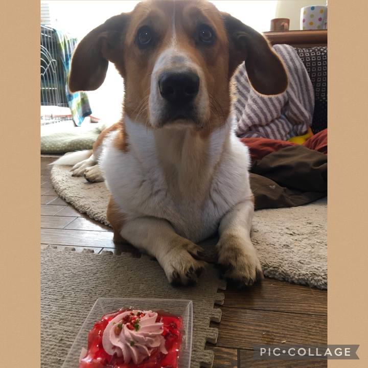 B9a44d2a c244 4931 8c45 603d09777139 1614299954420