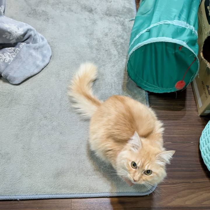 B9a46879 106a 4ff5 8cca ff3883b132aa 1735595596765