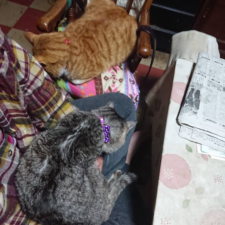 B9a483a3 9c66 4a42 b4fa b5d47dd2ba8f 1578173673125