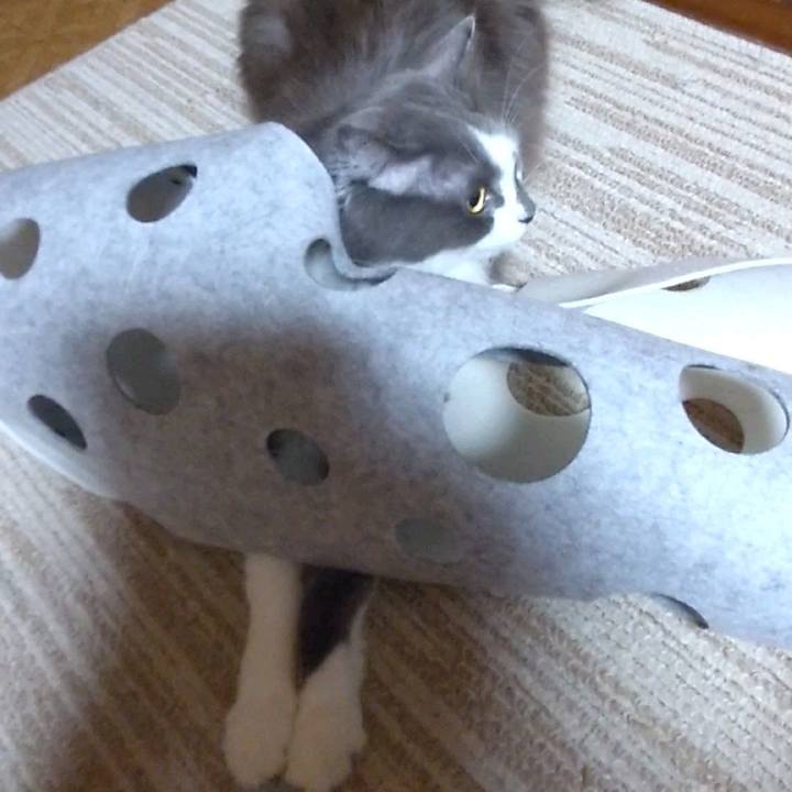 B9a4c62f 3096 4c36 bcb8 f043263826ad 1697359123529