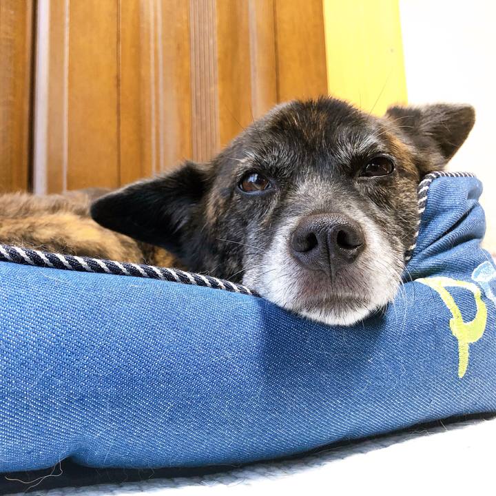 B9a4efdf 22bd 485e 9ce1 22e050ca8663 1600229068701