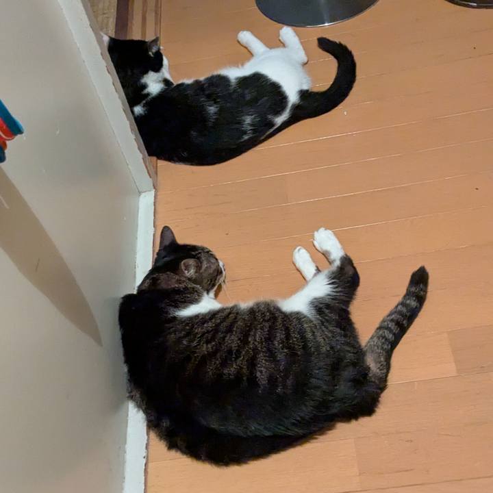 B9a51c78 e474 40bf a40b 2231fbb9895a 1754230745134