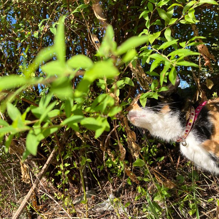 B9a527aa 6250 40f2 83cb a19cfc305d0a 1691197718629