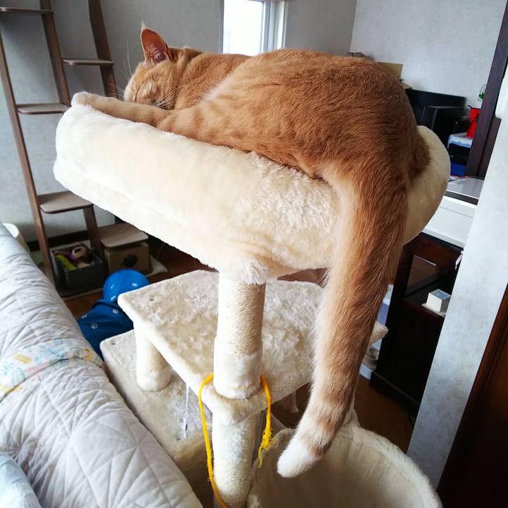 B9a541cc 72e5 4e9b a48c 0745fef05335 1597787723368