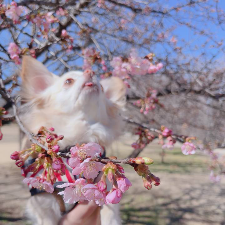 B9a5680f 006b 4213 be6b 4ffff2cab1c4 1771648608481