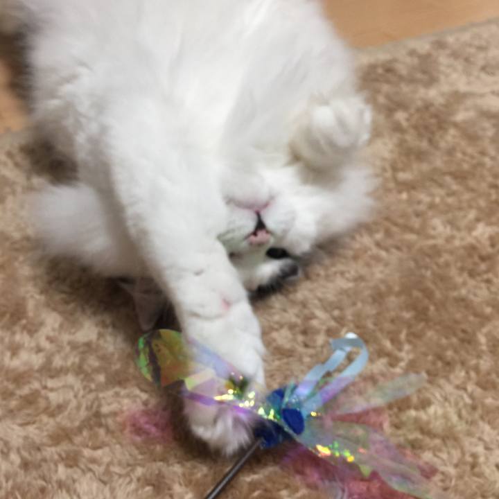 B9a576d6 7203 48ac 9c4b 4ded74e2024d 1518700131455