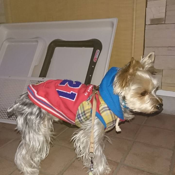 B9a576f6 2e3c 4a68 9def 2f004a85fecc 1514450214712