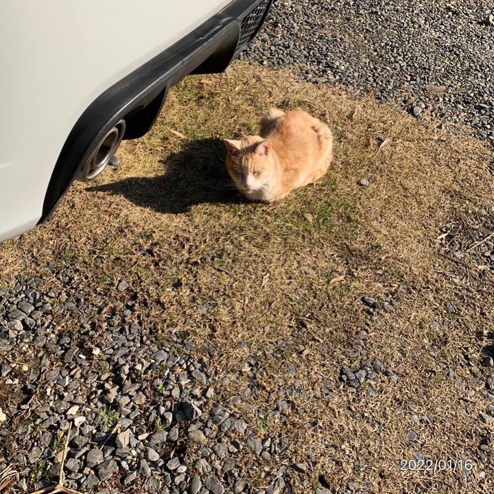 B9a57fd7 31d3 4426 8cef 333c2ea127a4 1642313776075