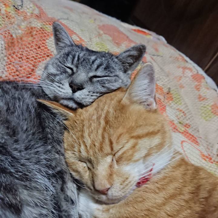 B9a5a5a2 2832 4677 93cf cc4355b596af 1573915307193