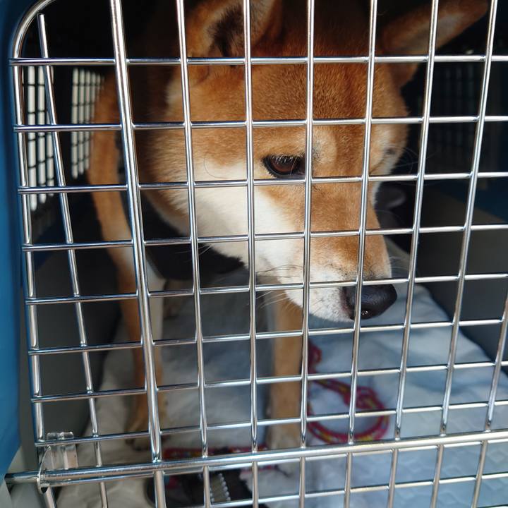 B9a606c6 65b9 41bc ba7b ba945da111aa 1767258970995