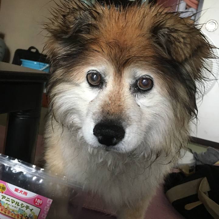 B9a6349b 02d9 4994 b186 9e575820bc7c 1566704465314