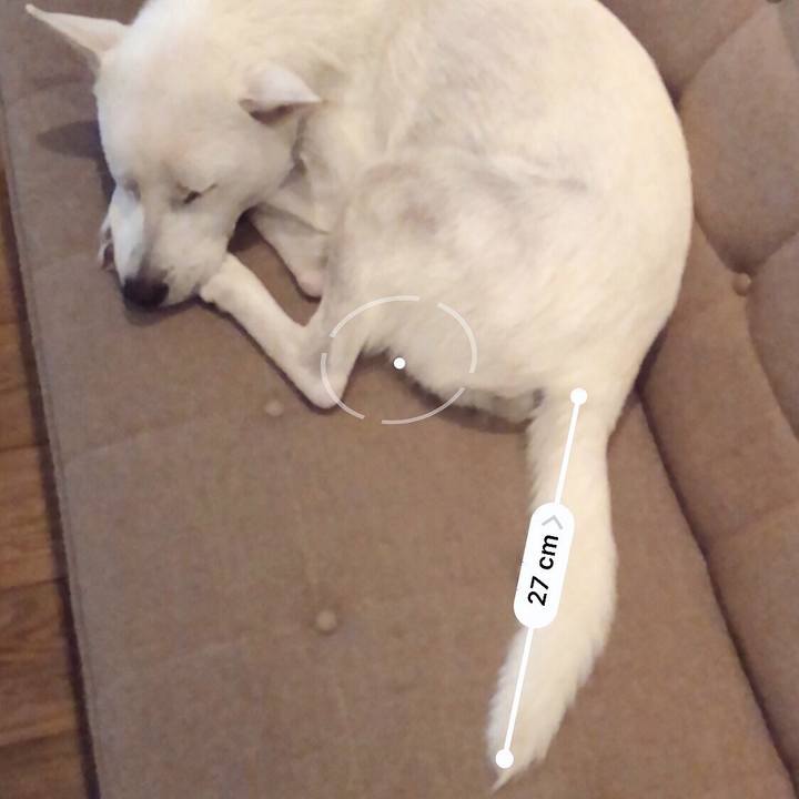 B9a66383 1be1 4603 baae 9be1b65b11ea 1538042799855