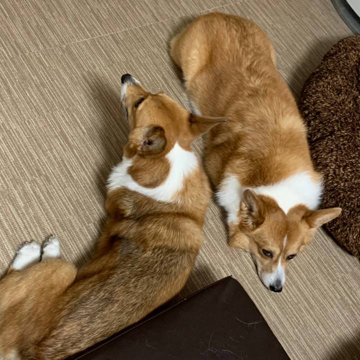 B9a68335 624d 49b2 af8d 9e5a7dcd929f 1593996933191