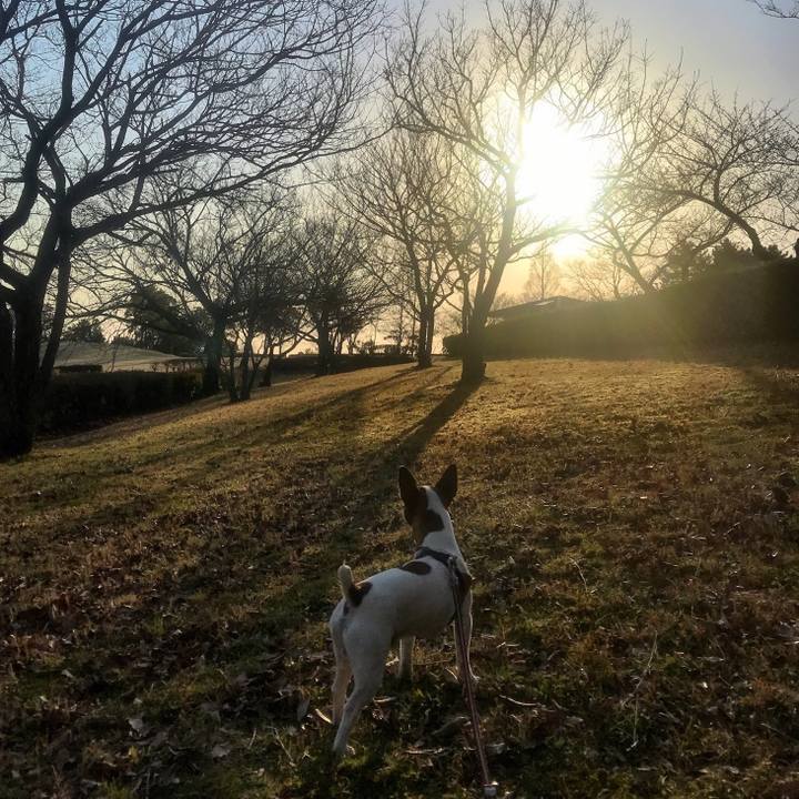 B9a688f7 eb31 40c5 9458 6c803452c460 1521278029893