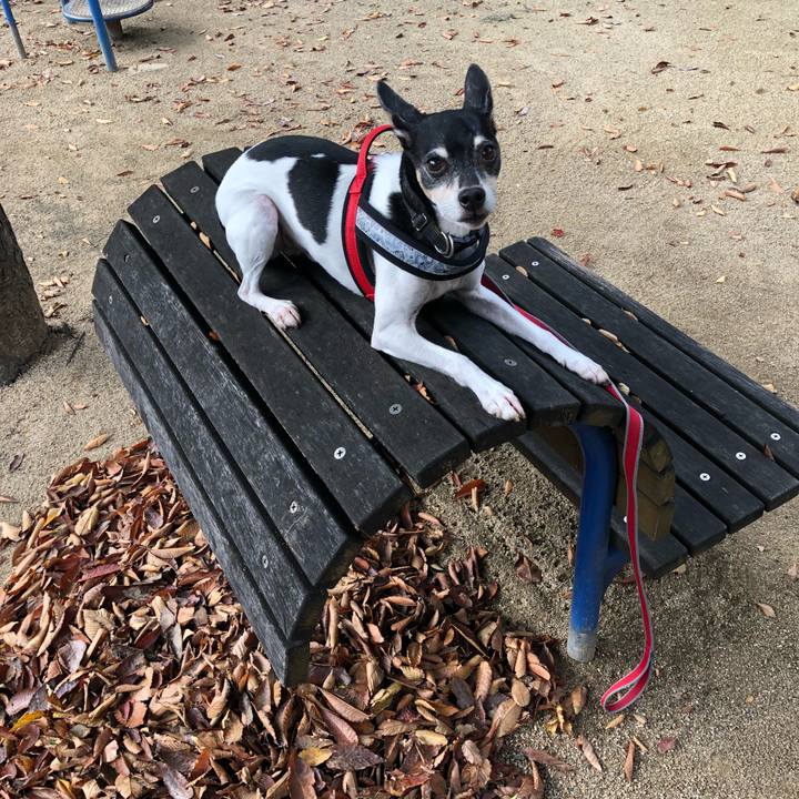 B9a69bc7 ce3a 48ca 8378 71a42426d3dc 1541813207152