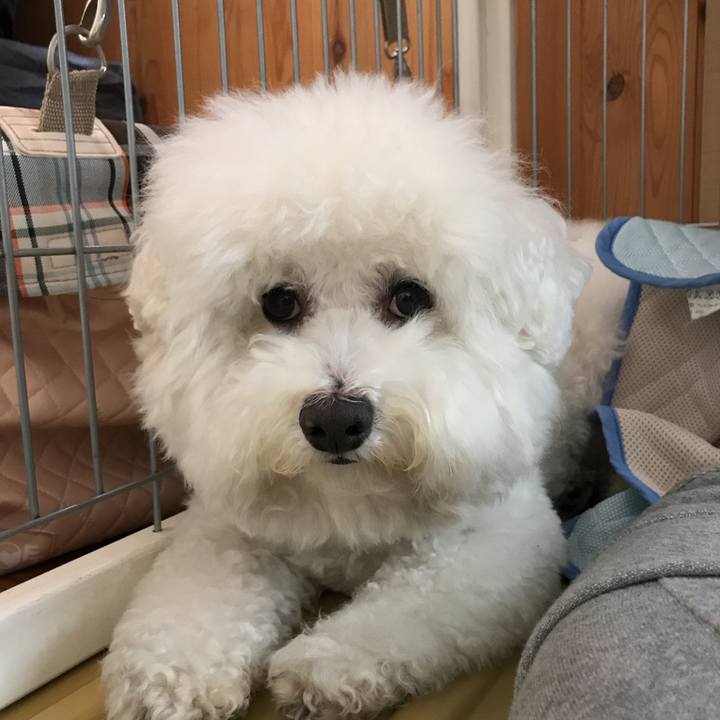 B9a6a138 af28 4053 aecd 7c890371a813 1526872080241