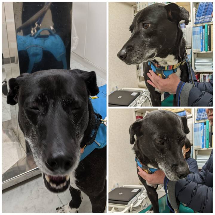 B9a70865 d91b 4a4a b426 da7e3497cd66 1703328567286