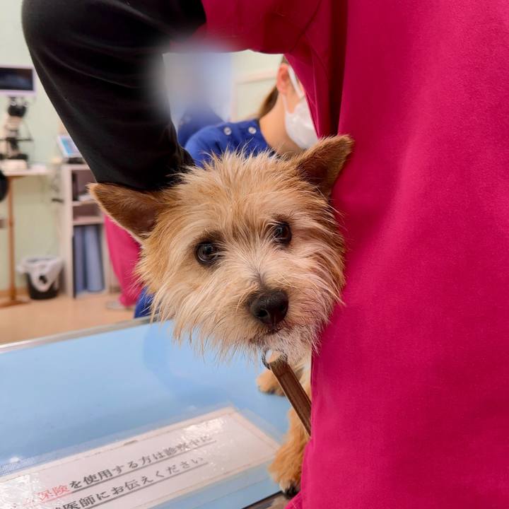 B9a73964 f7f1 4a83 8f3b c99091ab0ee4 1709381047371