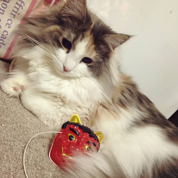 B9a7552a 663c 4eae ad3c 73b0bb10fbd1 1517685645500