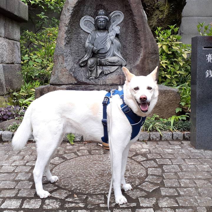 B9a76a01 0d5e 4415 804e 667fcb911b0b 1684045822320