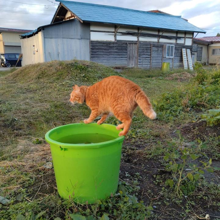 B9a7831b ad47 40d9 a32a 21966a4ac1ec 1696200067093