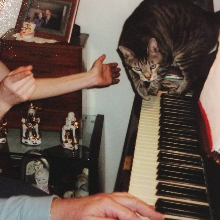 B9a78ee6 7643 4480 81d9 66f72583b29b 1551887651549