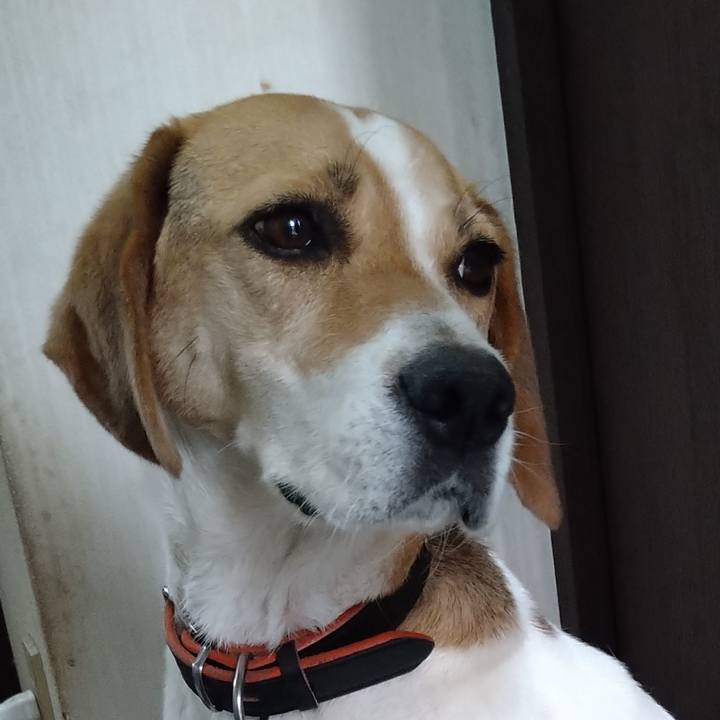 B9a7d4a5 ee50 4d79 af49 3c75ebddabfd 1624865234347